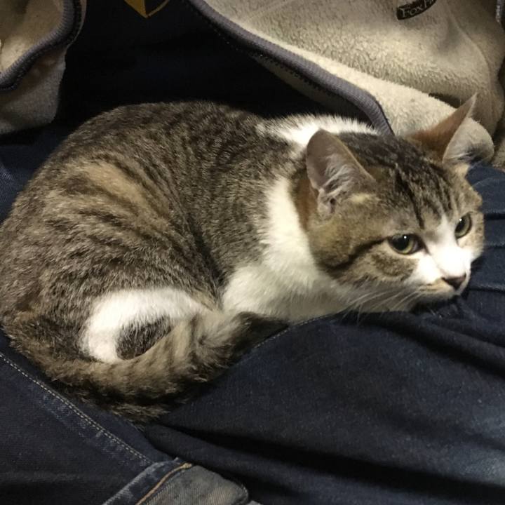 303d64e6 3e8c 41bf a4a9 3d45b6088f0e