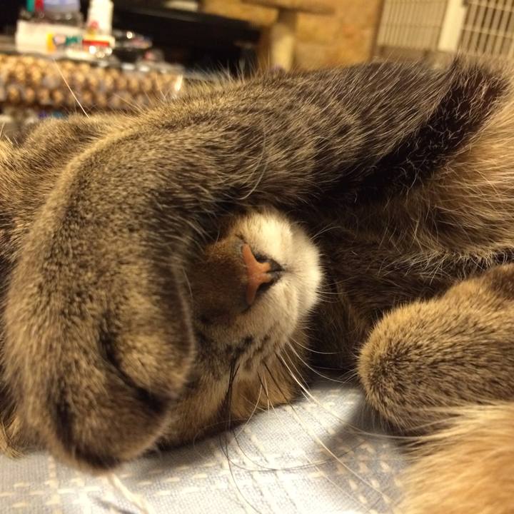 303d77d9 0b1f 4582 b3f6 3371d00b9ce0