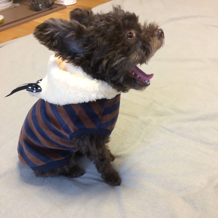 303e4a1e 689e 42c1 9c88 15e608536ac4