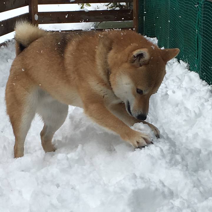 303e670e 5604 4ed3 97be e9893c29a9b4