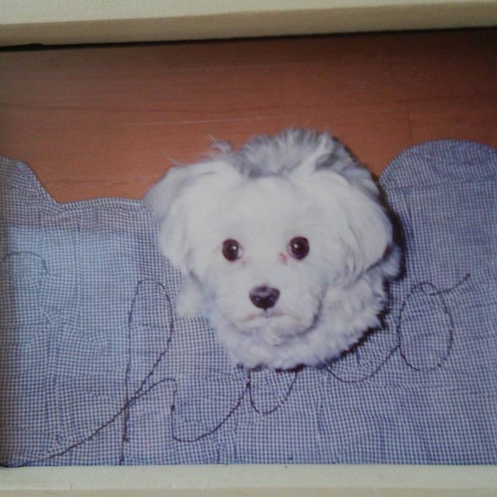 303f7a68 a03b 4053 90ae 91a6a2c021ea