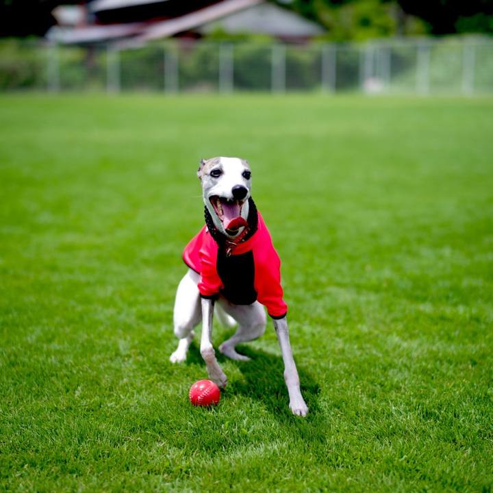 303f9745 3d75 458b bc30 306259af4386