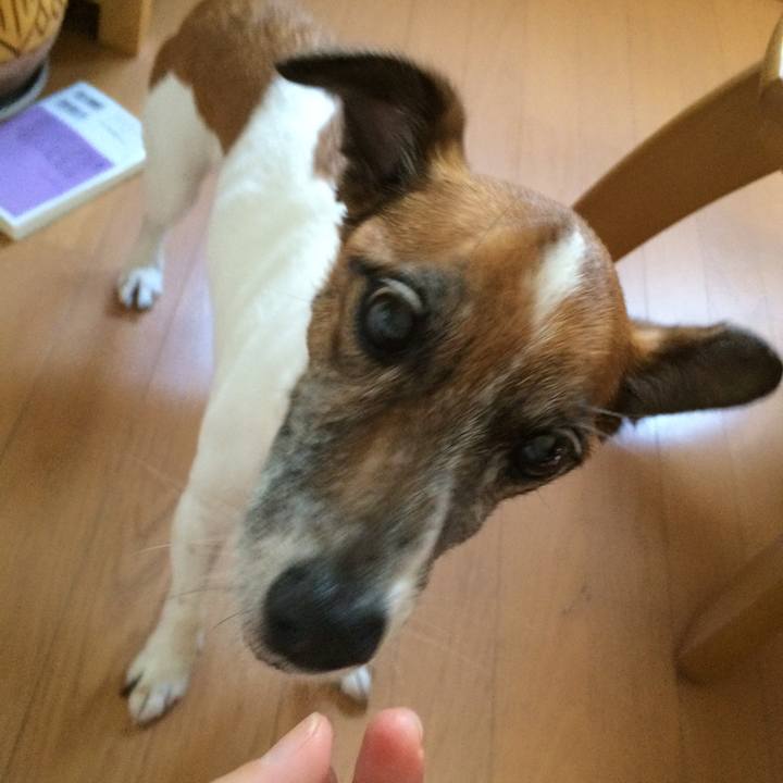 304034d9 795c 4419 8b4e 7334ff5703db