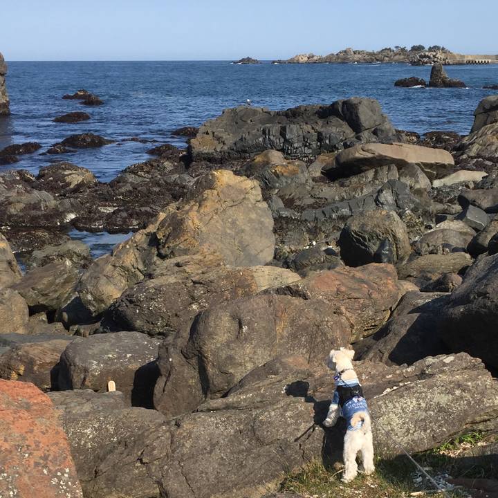 3040d605 2bf0 4391 b6ff f8036aacc5ed