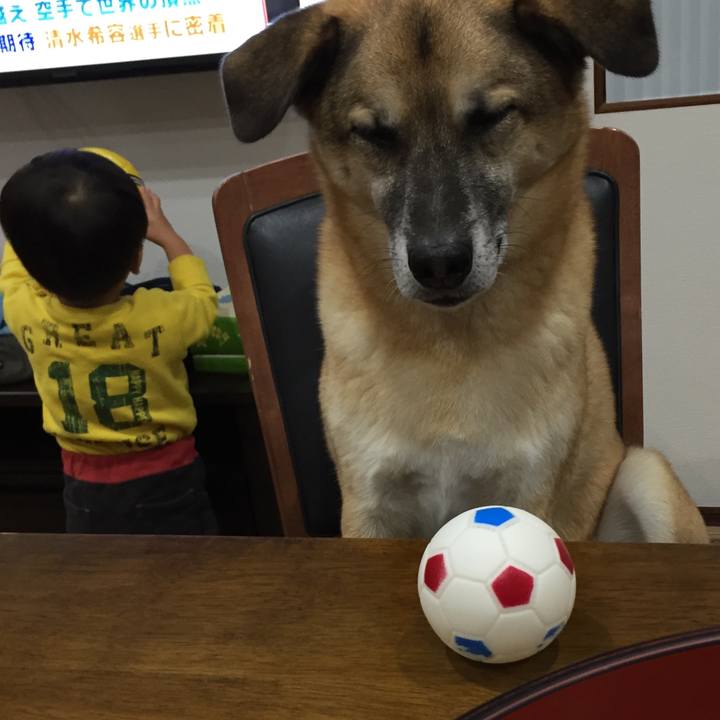 30410fb7 8e3c 47dc 91f7 842884546a7c