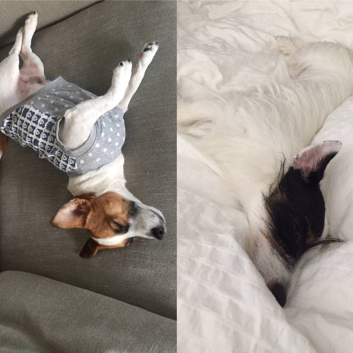 30418c06 a81d 48f1 9abe d97e62c9352e