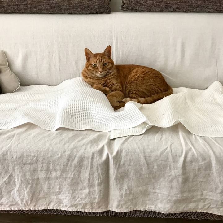 3041da23 c9bd 4c80 aef8 f68669ffa1bb