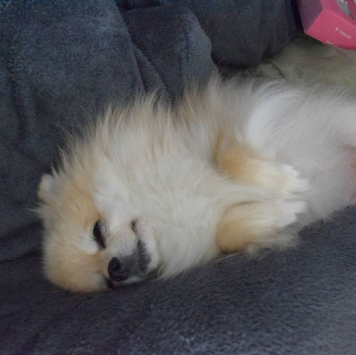 30421ca7 1f55 44cc ae13 db236dff70a0