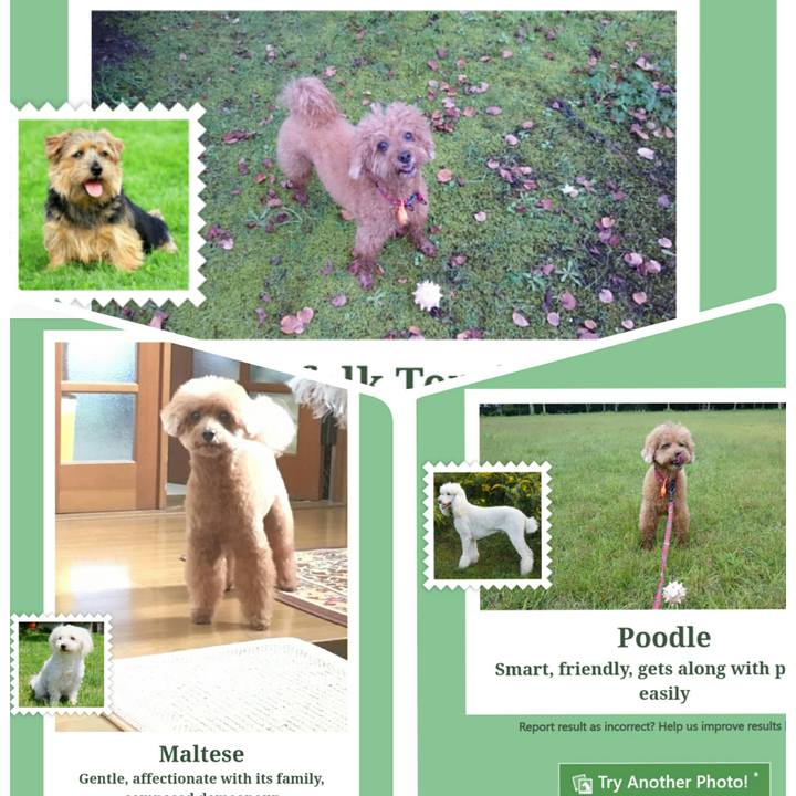 3042b678 fc5f 40f1 b19c c603287aece0