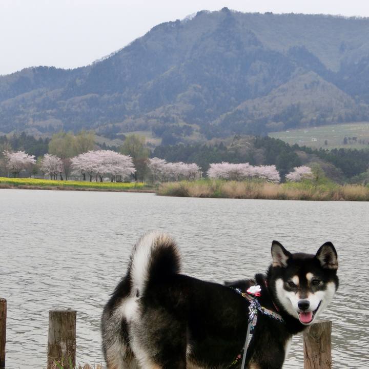 3043670a 3ff9 488e bc0f 831e5ea29efb