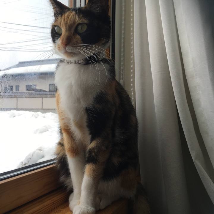 3044010e 5492 45fd b0d8 33a00ba7dc08