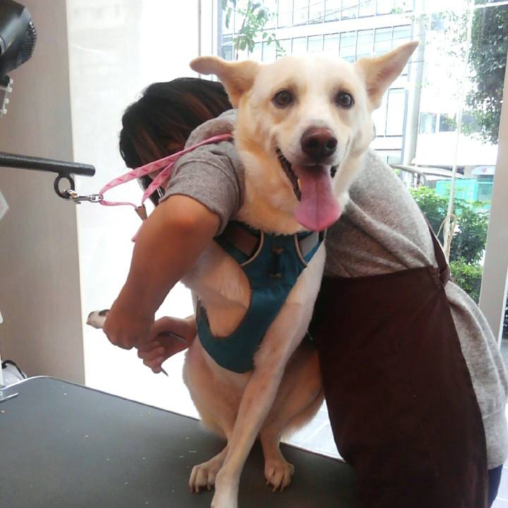 3044b4c7 b6b0 4746 b418 455ebe8df189