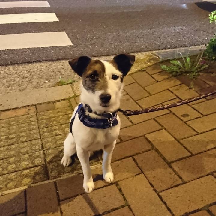 3044cc15 14cb 4f49 b18c 667af5f96bb2