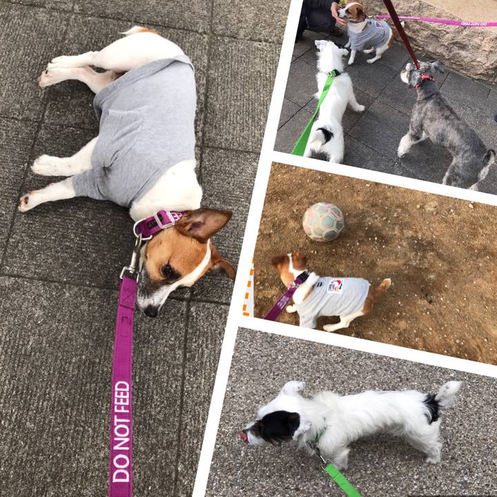 3044ec14 9397 4d42 b4da 123c89c9c248