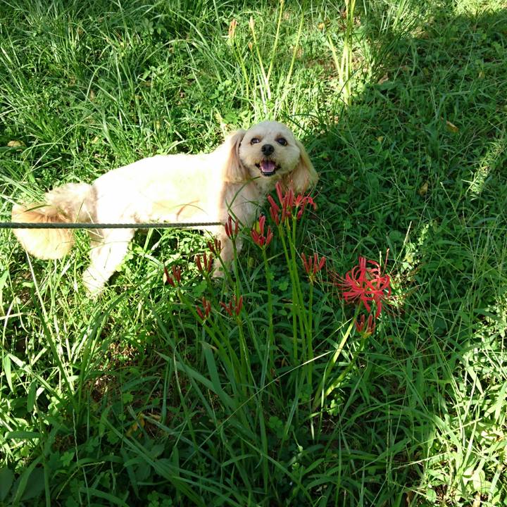 3044f124 d420 40ac 8c72 82b3c6f85482