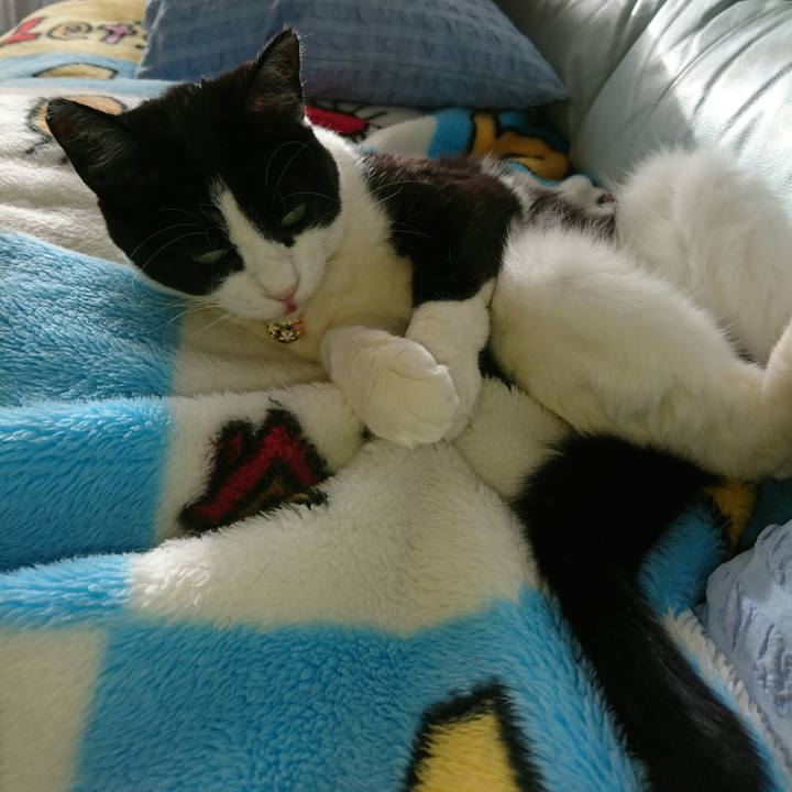 30455d56 ee69 48af 8b33 aed5b9578ec6