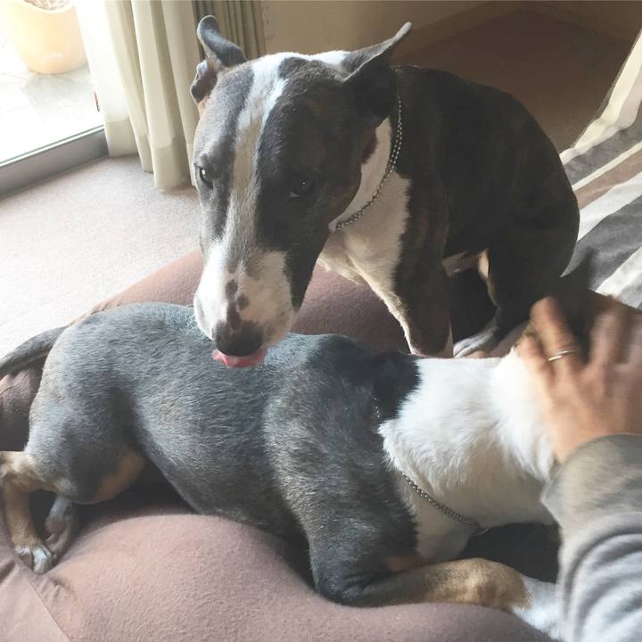 3045f8f2 442d 4014 b211 c59dcfea8b04