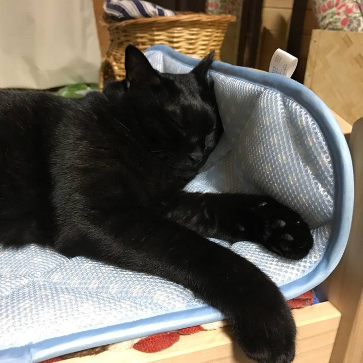 304687ab dcbe 4859 9ee9 9d35f998f86c