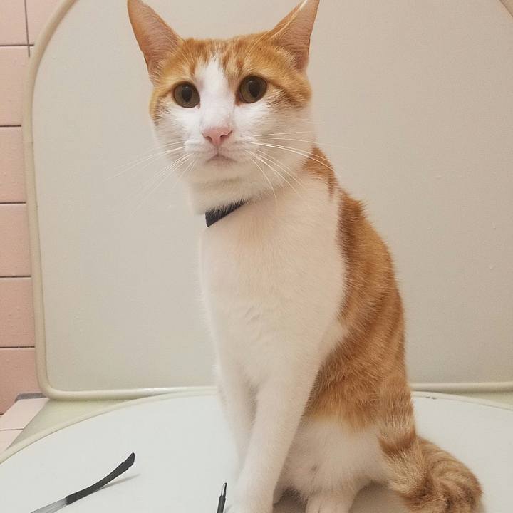 3046e970 ffcb 4c0c b218 c753eab236ea