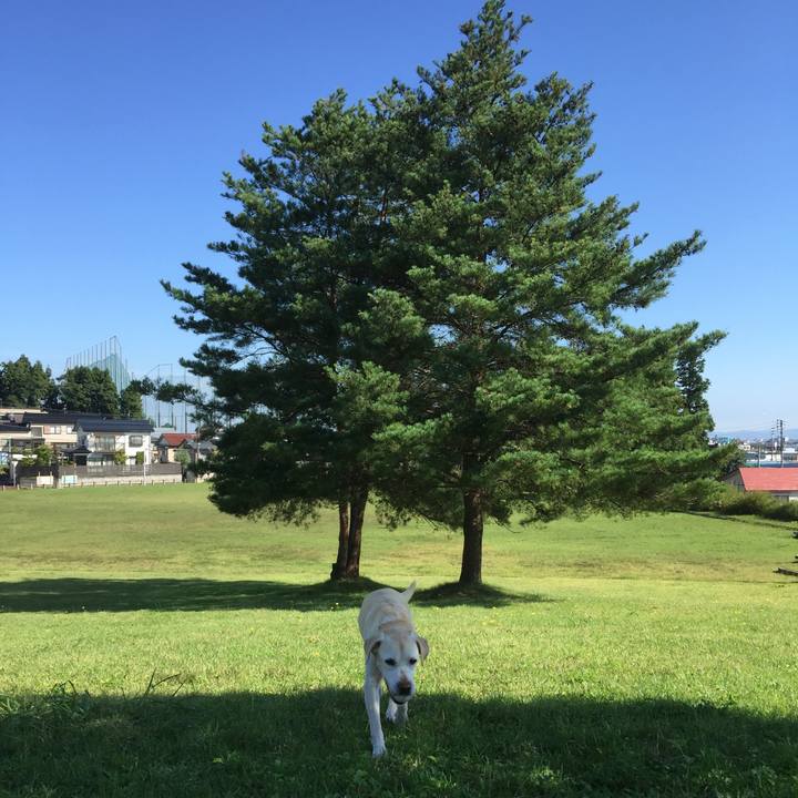 3047fef6 0d24 4280 9a9e d36981e125a8