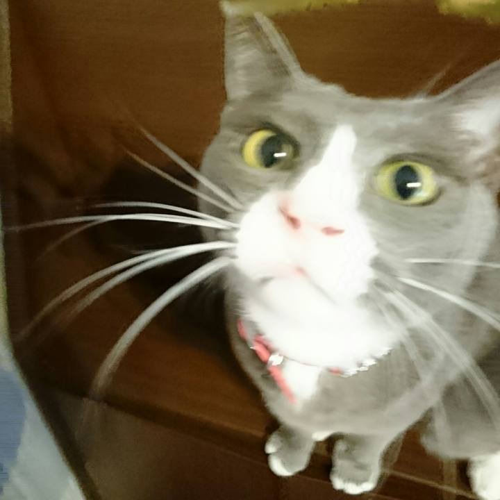 3048f054 f823 49ec 8cd8 762b648e384d