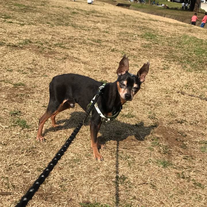 30494814 e744 426f 9e6b b36f1bf8af1c