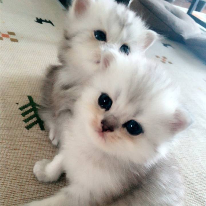 3049d957 6b30 46b2 9fcb 075600ac7de0