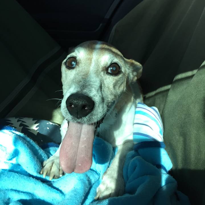 304a1e89 6e9f 472d 8fb3 aa694521fdbe