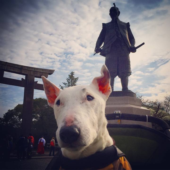 304a33db df8e 432e a459 482d59225a49