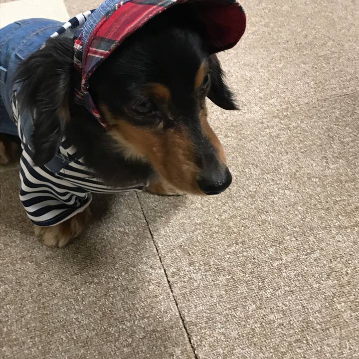 304b4142 d242 4ce1 adb0 31b720842bcf