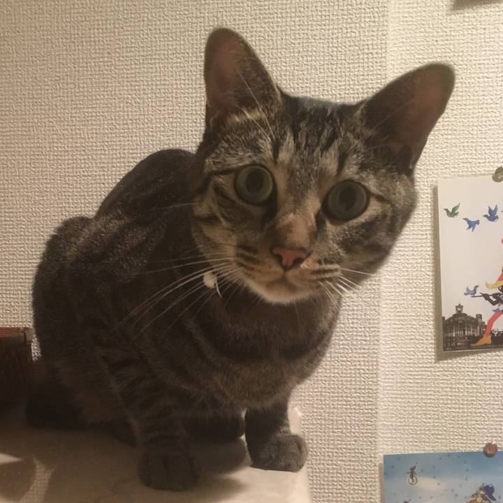 304b606e 564e 4787 a8dd 39ad59391687