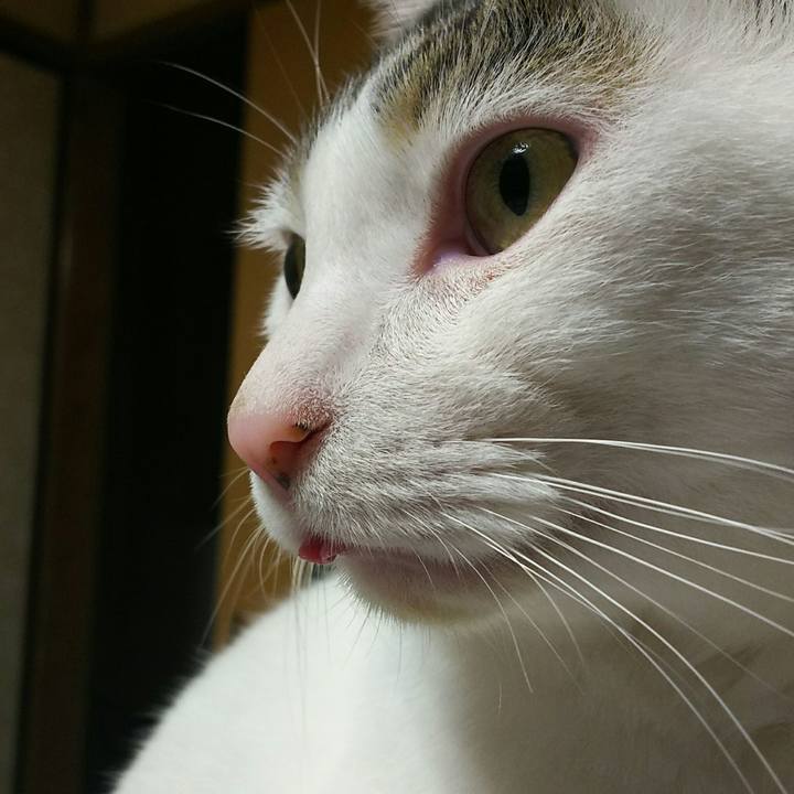 304b9354 ff50 41a0 8b2a 1439c0f45a91