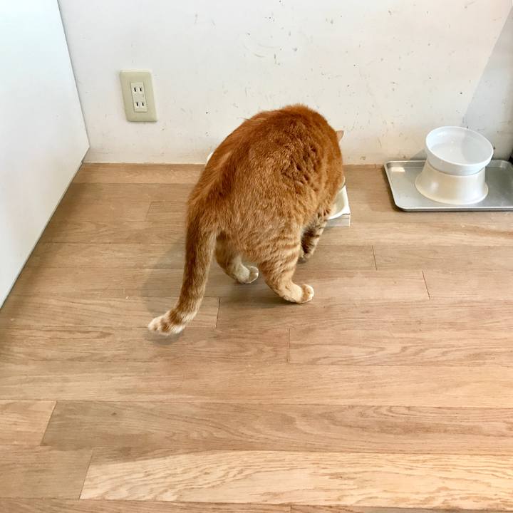 304c31c2 1036 408b 8f45 19b5e1d00528