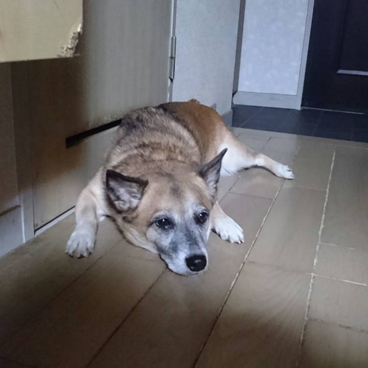 304cc73c 22bc 476c a33a 56ead910a090