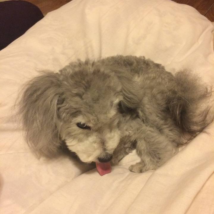 304e19be 5324 486c 8a43 8899fc7c9ff6