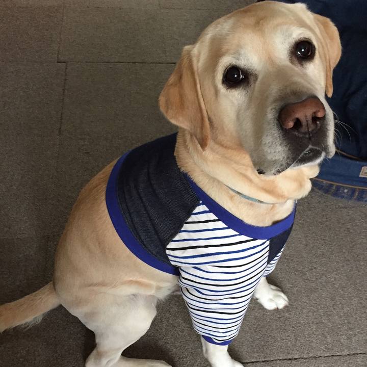 304e2765 0cb6 4d7d b128 c34ecd102577