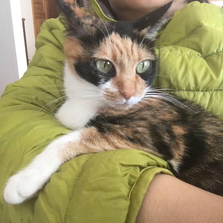 304ead90 6d29 4c58 b282 394fbc1817ff