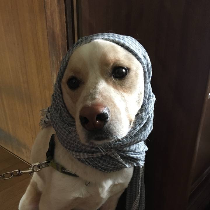 304ece6c dd7d 4905 8346 57a419b370e8