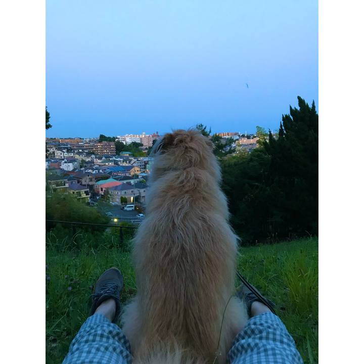 304f2254 e7c3 4749 ac0d 0e12a8b56f70