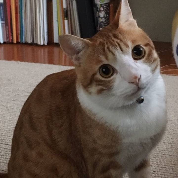 304f529b 39e9 44cb a44b e0f57ed174bf