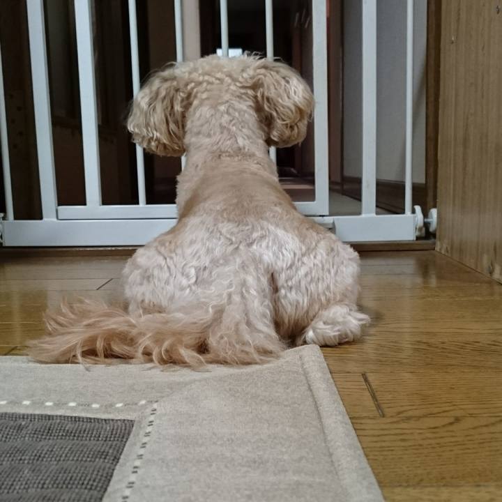 3050296d e4aa 42e1 9f3a 3373d2cfe5c0