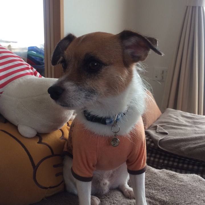 3051328b f12c 4dfd ac43 5125d792eb72