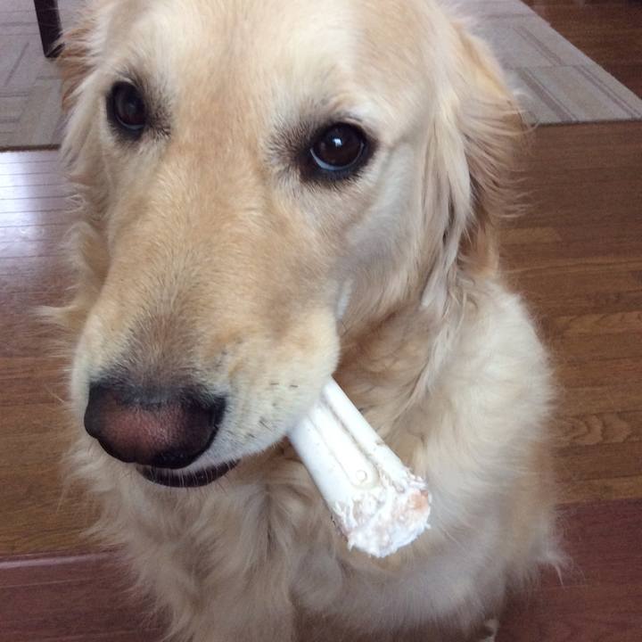 3051a1fd d949 4928 94b0 e011c8fa00ec