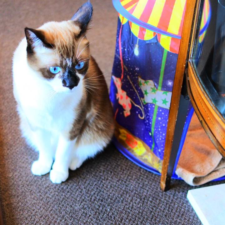 3051ab01 56d5 4f5f b36a 96f2fafe41f4