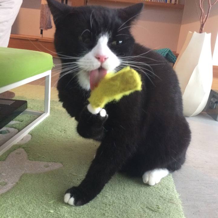 3051c408 7870 47d8 82da 4ffda34ba840