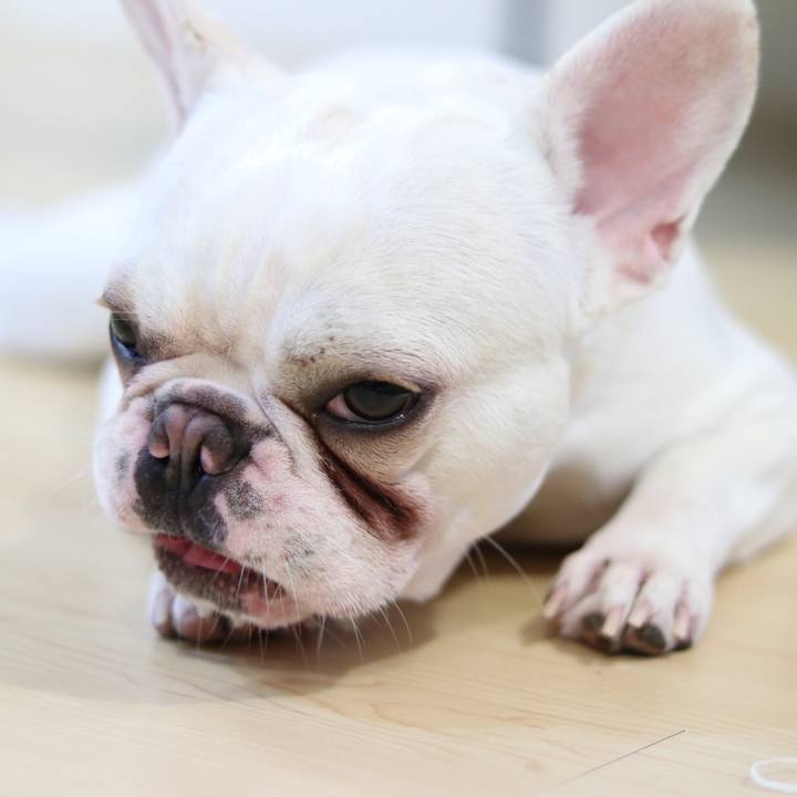 30528291 d662 4d93 b964 f987694db152