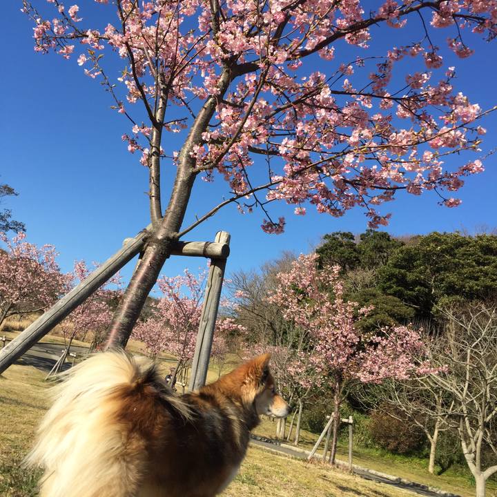 305283f1 8459 4b7b 96a8 45bc74c99047