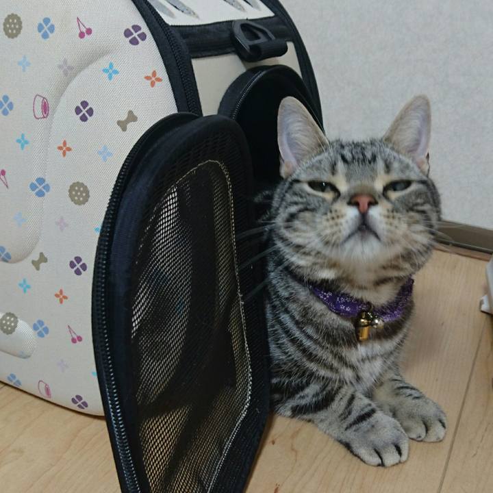 3052d1dd 6c6f 4fe9 9d07 807ba48bfe6f