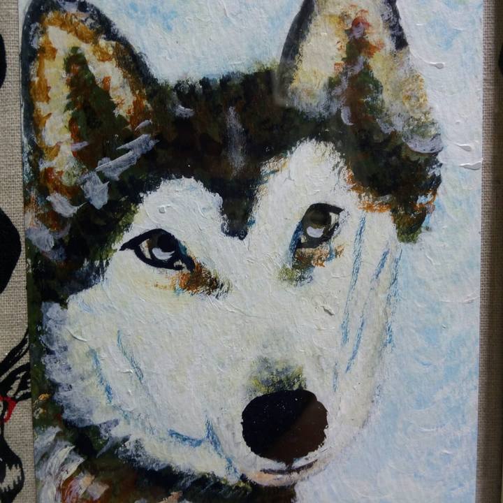 30532687 a677 4928 a983 e2536d21fef6