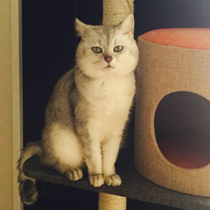 305387c0 1ac0 49fd 9fbb 3847e774f9ae